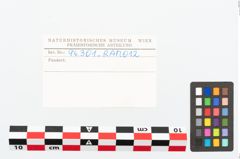 Etikett zu Eisenkonvolut (NHMW-PRAE-094301)